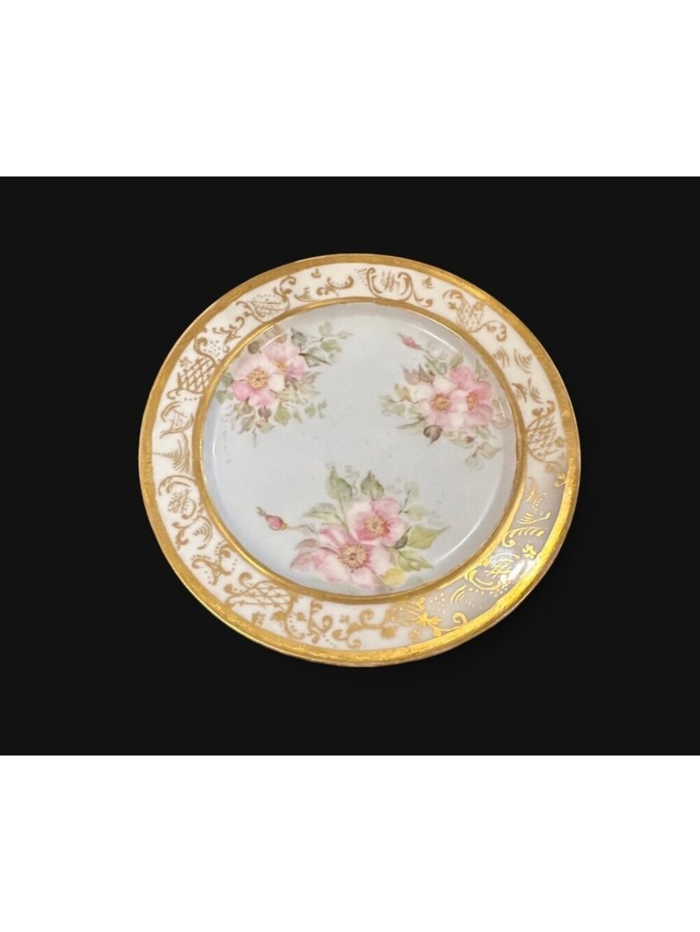T&V Limoges Hand-Painted Floral Decorative Plate 9.5”